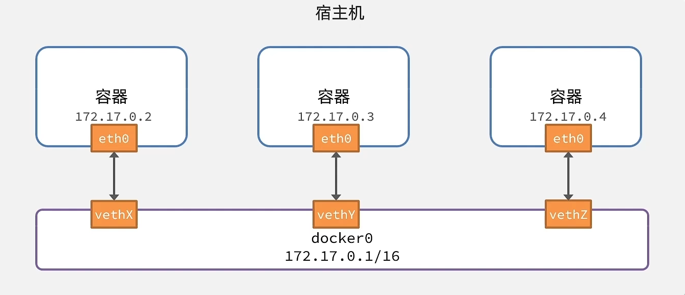 image-20231223202118445